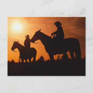 cowboys on horses postcard