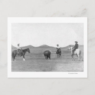 Cowboys on Horses Roping Buffalo Photograph Postcard