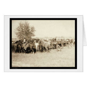 Cowboys Roping a Herd of Horses SD 1887