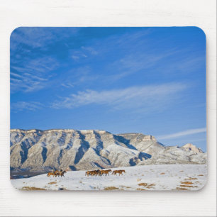 Cowboys with Heard of Horses Mouse Mat