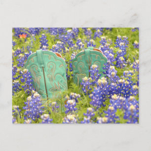 COWGIRL BOOTS POSTCARD
