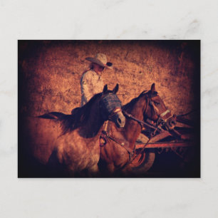 Cowgirl Postcard