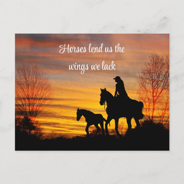 Cowgirl Sunset Horseback Ride Postcard (Front)