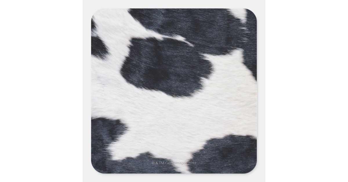 Cowhide Print Square Sticker Zazzle