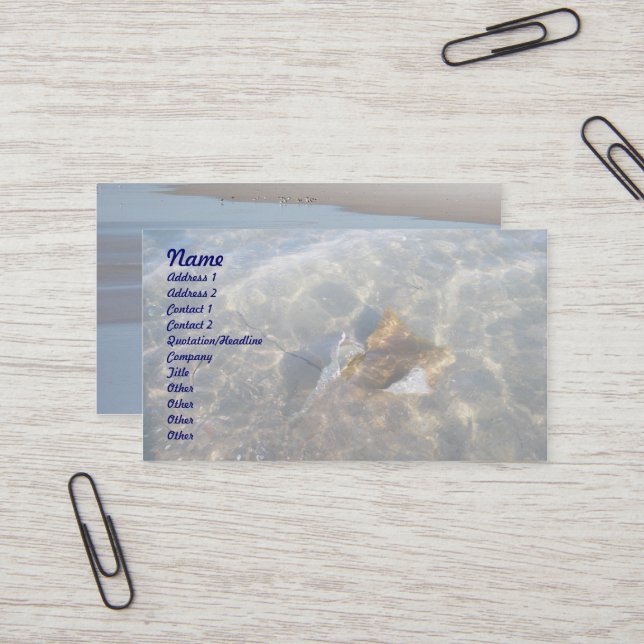 Cownose Stingray OBX Series Business Card (Front/Back In Situ)