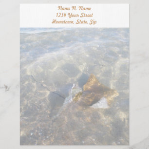 Cownose Stingray OBX Series Letterhead