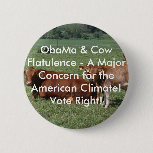 cows-19rq, ObaMa & Cow Flatulence - A Major Con... 6 Cm Round Badge