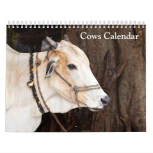 Cows 2026 Calendar