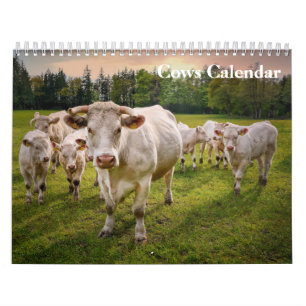 Cows 2027 Calendar