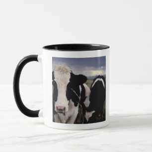 Cows 3 mug