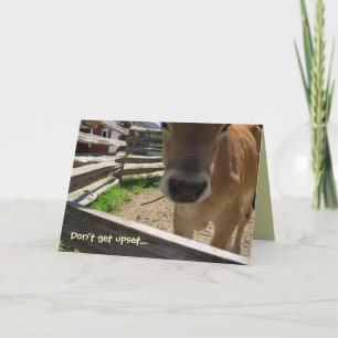 Cows 50th Birthday Card