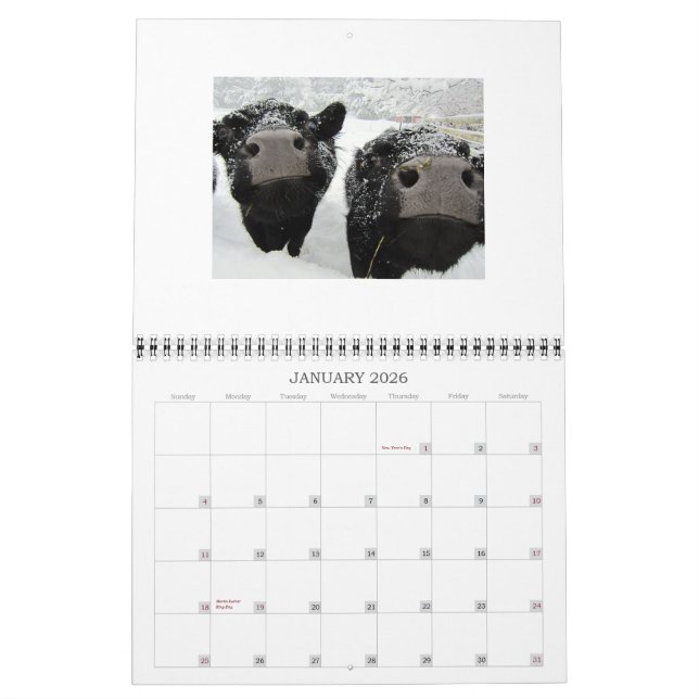 Cows and Calves 2015 calendar (Jan 2026)