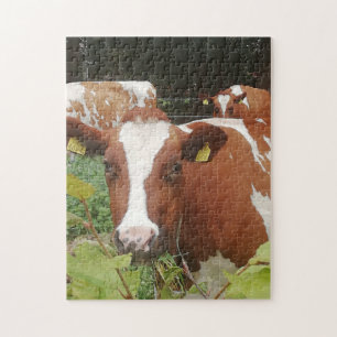Cows at a dairy farm. jigsaw puzzle