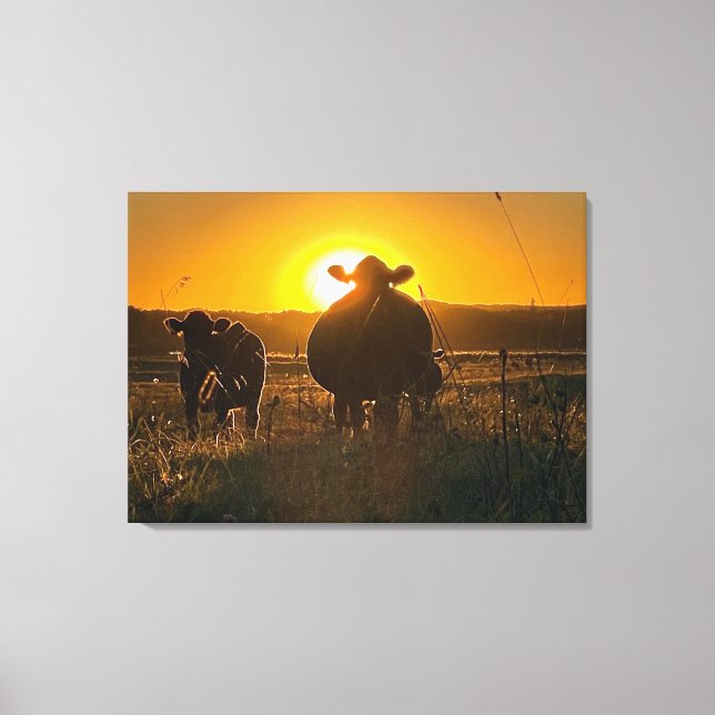 Cows at Sunset Canvas Print (Front)