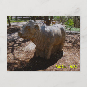 Cows at the Arboretum Postcard