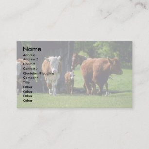 Cows Business Card