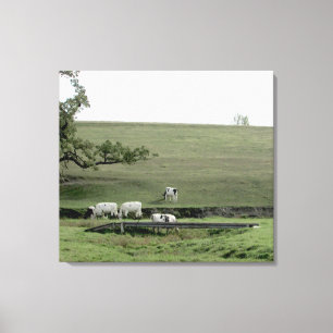 Cows by a Bridge Photography Wall Art