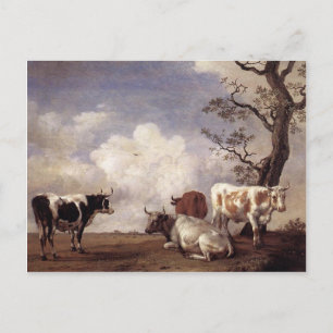 Cows by Potter Postcard