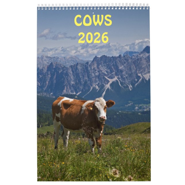 Cows Calendar (Cover)