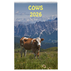 Cows Calender 2025 Calendar