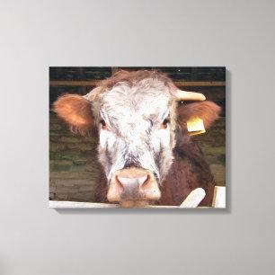 COWS CANVAS PRINT