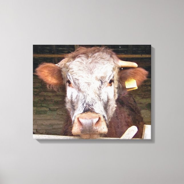 COWS CANVAS PRINT (Front)