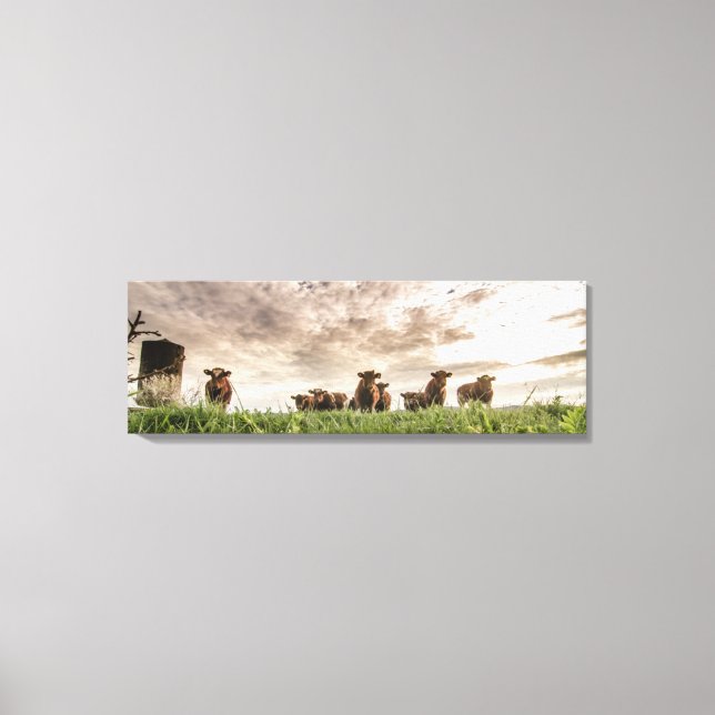 Cows Canvas Print (Front)
