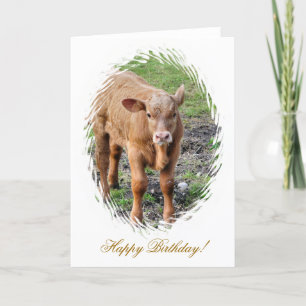 COWS CARD