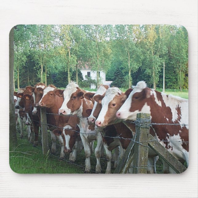 Cows Curious Mouse Mat (Front)