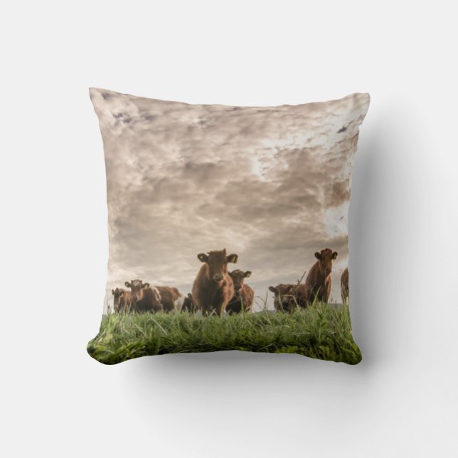 Cows Cushion (Front)