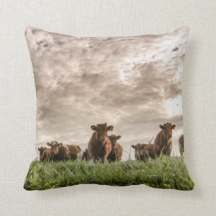 Cows Cushion