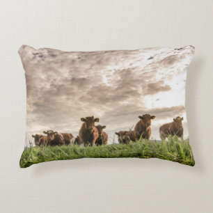 Cows Decorative Cushion