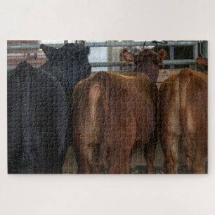 Cows from Behind Jigsaw Puzzle