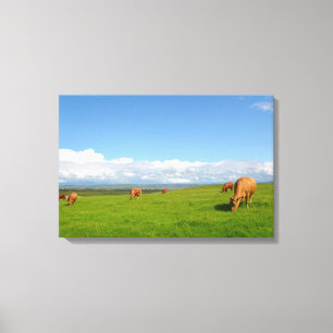 Cows grazing in a meadow in Ireland canvas print