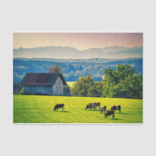 Cows Grazing Peacefully in a Bucolic Setting Tissue Paper