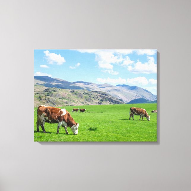 Cows grazing view canvas print (Front)