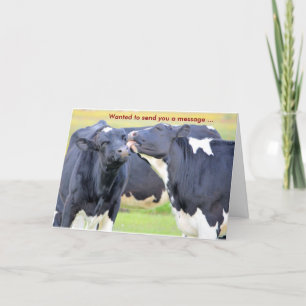 Cows I Love You Greeting Card