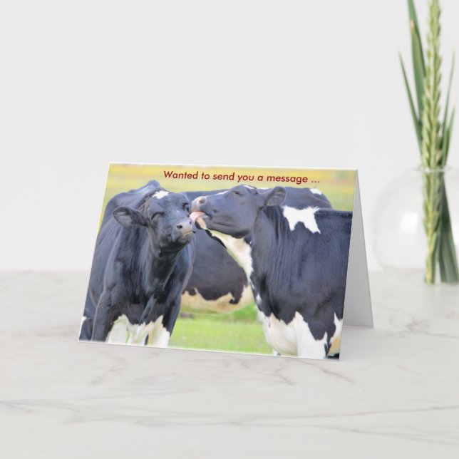 Cows I Love You Greeting Card (Front)