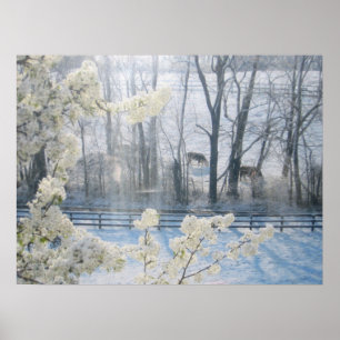 Cows in a field in winter poster