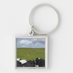 Cows in a pasture. key ring
