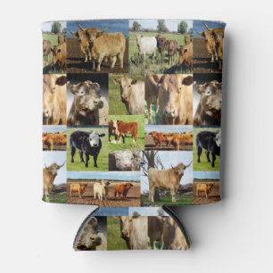 Cows In A Photo Collage, Can Cooler