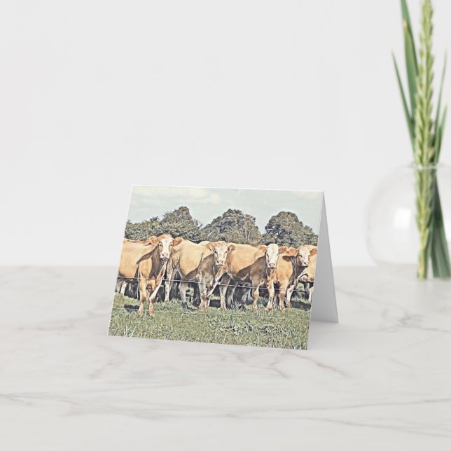 Cows in a Row - Blank Greeting Card (Front)