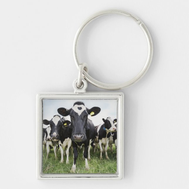 Cows In a Row Key Ring (Front)