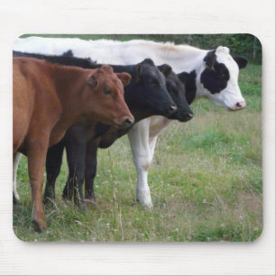 Cows in a Row Mouse Mat