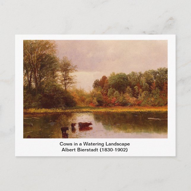 Cows in a Watering Landscape by Albert B. Postcard (Front)