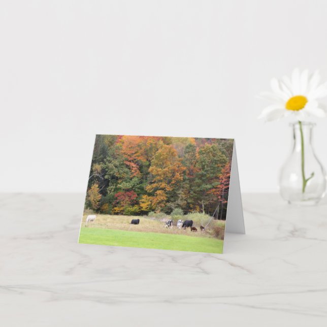 Cows In Field Autumn Foliage Photography Note Card (Small Plant)