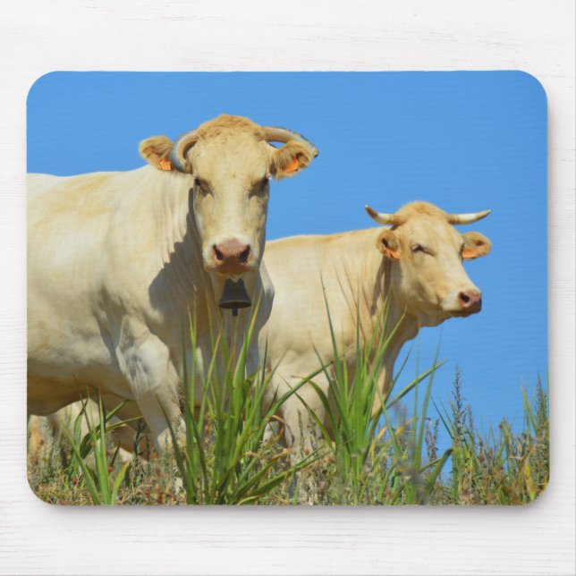 Cows in France animal Mouse Mat (Front)