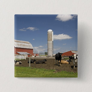 Cows in front of a red barn and silo on a farm 15 cm square badge