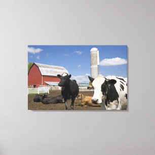 Cows in front of a red barn and silo on a farm canvas print