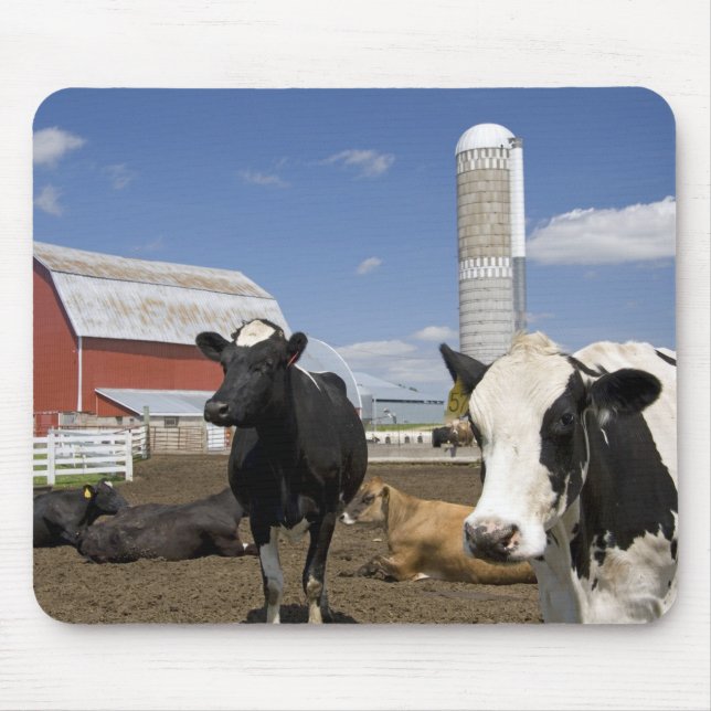Cows in front of a red barn and silo on a farm mouse mat (Front)